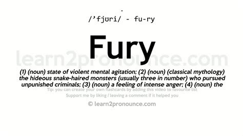 fury definition picture